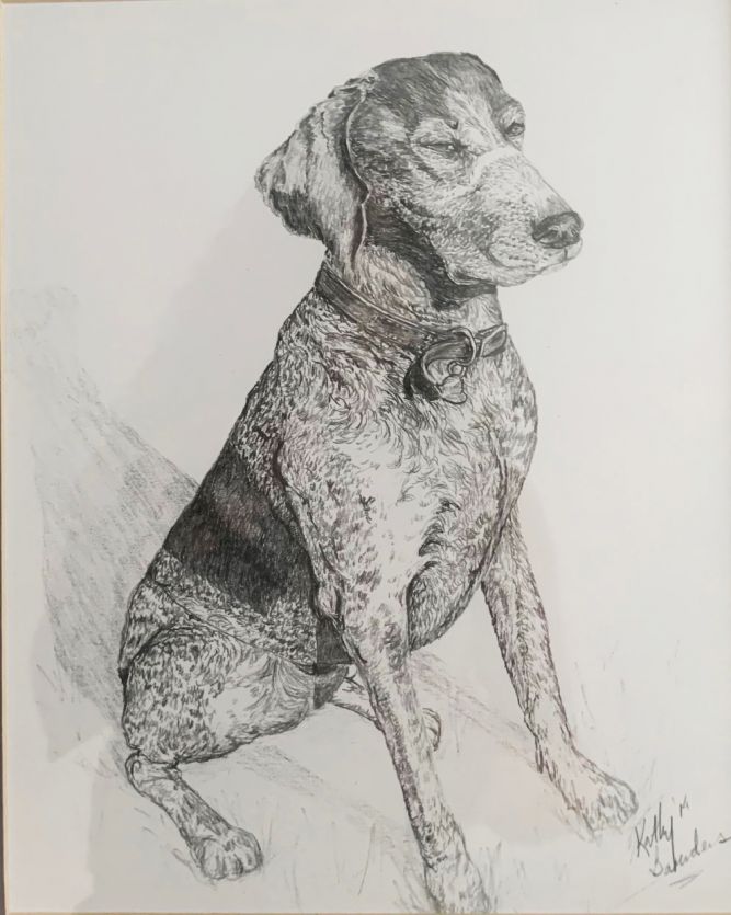 dog-pet-portrait.jpg