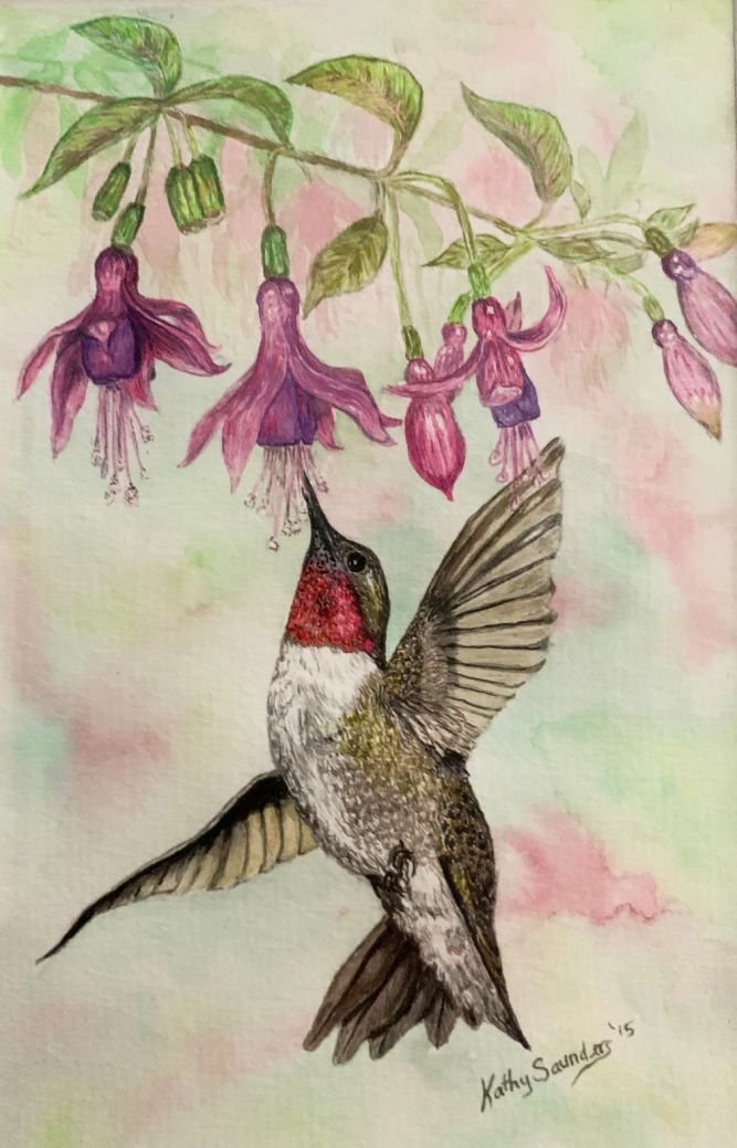 hummingbird2.jpg