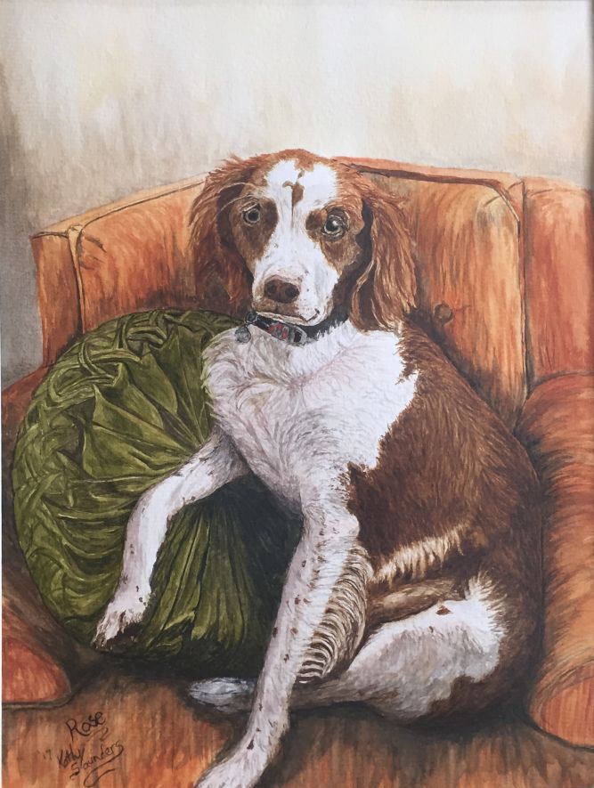 pet-portrait.jpg