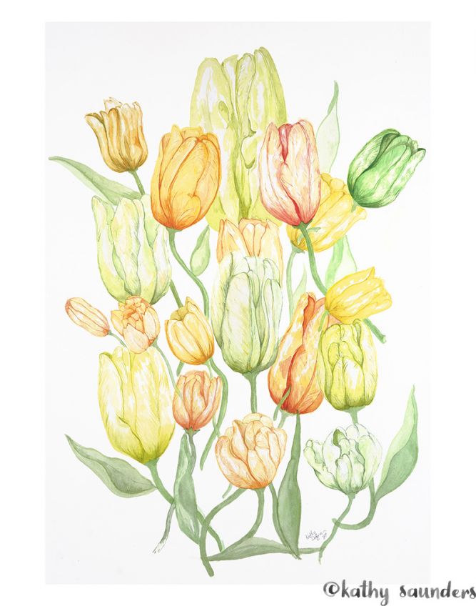 Tulips